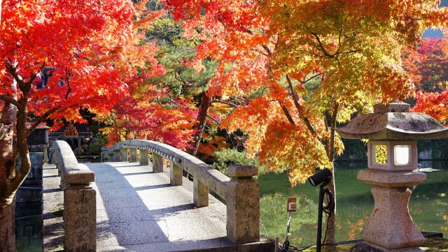 【อันดับที่ 6】 ชมสีสันใบไม้แดงที่ “วัดเซนรินจิ เอคันโด” (Eikando Zenrinji Temple)